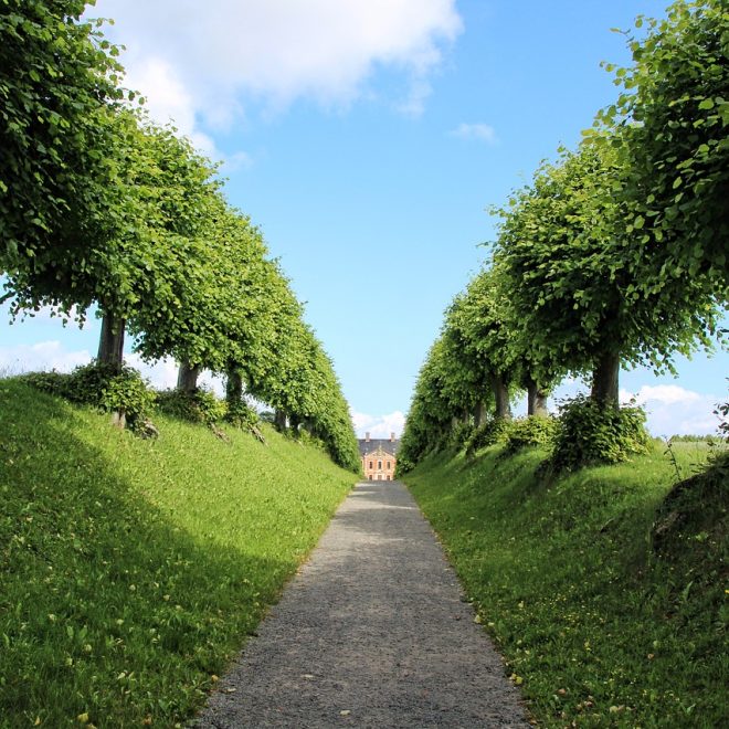 Szklarnie ogrodowe to idealna pomoc w hodowaniu warzyw i roślin